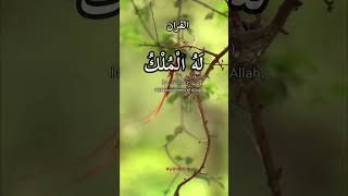 4 Kalima(tauheed)Fourth Kalima Full HD Arabic text l chohta Kalima tauheed #quran #ytshorts #shorts