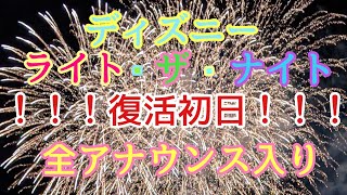 【復活初日】ディズニー・ライト・ザ・ナイト✨