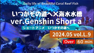 24.05 .L.9 海水水槽 癒しのひととき■いつかその道へ （1時間耐久鑑賞）【Genshin】