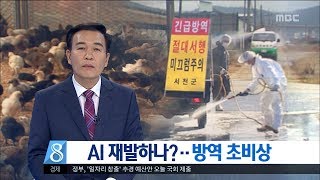 [대전MBC뉴스]AI 재발하나?..방역 초비상