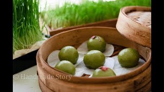 发一盆小麦草，蒸一笼青团，咬一口春天的味道 How to make wheatgrass mochi