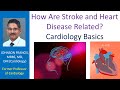 How Are Stroke and Heart Disease Related? Cardiology Basics