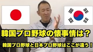 ④中日ドラゴンズ二軍投手コーチ門倉健　韓国プロ野球の懐事情は？　韓国プロ野球と日本プロ野球はここが違う！