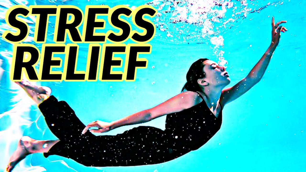 Calming Music Relieves Stress With Beautiful Nature Videosрџќђstop Anxiety