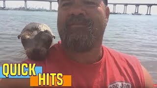 Seal Jumps On Guy's Boat And Makes A Friend