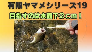 定点観測　無限ヤマメ釣り場2023Part19　後端ドロッパー実験！北海道　ヤマメ16　ニジマス1　ぐいうー8　北海道　札幌近トラウト　釣り　2023年9　ウエットフライ　Kahuna LT  RIO