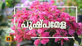 FLOWER SHOW TRIVANDRUM  2019 | തിരുവനന്തപുരം കനകക്കുന്നിൽ  പുഷ്‌പമേള