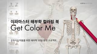 노잼 필라테스 해부학, '색'다르게 공부하자! | 이파마스터 | 필라테스강사