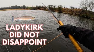 Ladykirk did NOT disappoint | River Tweed Spring Salmon Fishing 2025