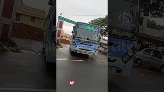 31C Bus (Tenkasi 🔁 Therkumedu ) #amaran #trendingreels #reelsvideo #tnstcbus #tnstcbusmod