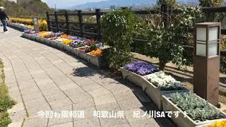 和歌山県　紀ノ川SA 🌻おすすめ飯