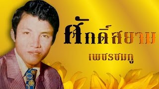 สาลิกาหลายรัง -  ศักดิ์สยาม เพชรชมภู