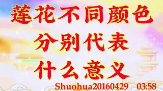 卢台长开示：莲花不同颜色分别代表什么意义shuohua20160429  03:58