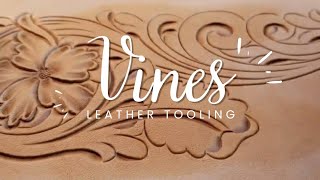 Vines | Tooling Vines How-to