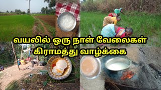 💫💖வயலில் ஒரு நாள் வேலைகள் #கிராமத்து வாழ்க்கை #madhunisha #FARMAR life #agricultural #farming