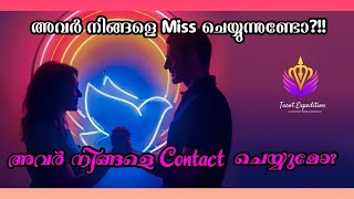 അവർ നിങ്ങളെ Contact ചെയ്യുമോ?!! അവർക്ക് നിങ്ങളെ മിസ്സ് ചെയ്യുന്നുണ്ടോ?! malayalamtarot_timeless|