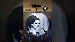 ومالو (من قد ايه وازاي وليه)