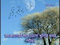 তোমরা জানাওগো শুকরিয়া tomra janaogo sukriya a islamer sur e