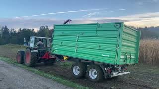 Maishäckseln 2024 Fendt Farmer 308LSA und PZ MH 80S