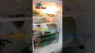 funny cat অসাধারণ একটি বিড়াল। #funny #cutebaby #vlog #foodcar #cute