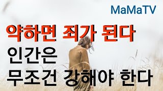 약한 게 죄다, 약하면 죄를 짓게 되므로 무조건 강해져야 한다, 문제의 원인 제공자는 약한자가 하는 짓이다,