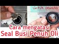 Rumah Busi Basah karena Oli - Ganti Seal Busi