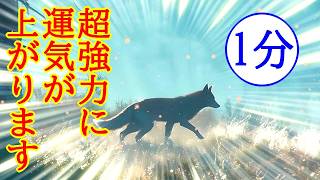 【最速運気アップ】約1分見るだけで超強力に運気が上がる最強波動963Hzの開運おまじない