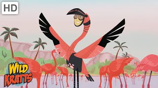 What Makes Flamingos Pink? | Wild Kratts