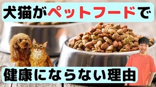 犬猫がペットフードで健康にならない理由【食事指導のプロが解説】