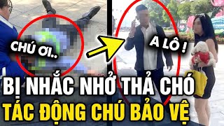 Bị nhắc nhở THẢ RÔNG CHÓ ở phố đi bộ, thanh niên TÁC ĐỘNG VẬT LÝ bảo vệ bất tỉnh | Tin 3 Phút