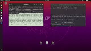 Hunt4Spring — "Spring4Shell" Vulnerability Scanner Demo | CVE-2022-22965