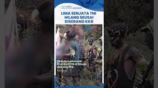 Danrem 172/PWY Akui Ada 5 Senjata Api Milik TNI yang Hilang seusai Diserang KKB, Diduga Dirampas