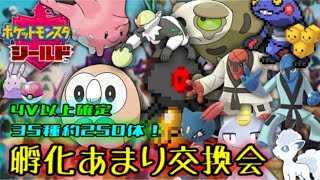 [ポケモン剣盾]解禁ポケモン！孵化余り交換会！（大体オシャボ）