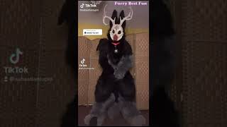 BEST Furry TikToks compilation 0160 #shorts #furrytiktok #furry #furrycompilation