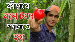 বলে টেপ লাগানোর নিয়ম