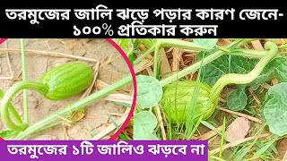 তরমুজের জালি ঝড়ে যাওয়ার কারন ও প্রতিকার | Water Mellon Disease | Mosbahar | Krishi Janala