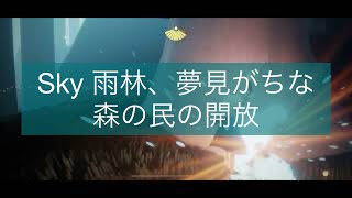 Sky 雨林、夢見がちな森の民の開放　2023/6/19デイリークエスト