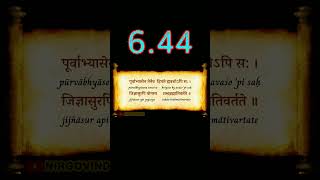 👆 BG 6.44 | Bhagavad Gita 6.44 | Chapter 6.44 | Shloka 6.44 | Text 6.44 | Verse 6.44 #shorts