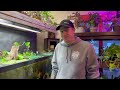 dirt planted tank setup how to soil an aquarium