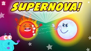 What Is Supernova? The Dr. Binocs Show | Best Learning s For Kids | Peekaboo Kid