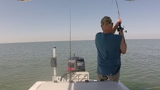 Galveston Jetties Fishing - EP 17