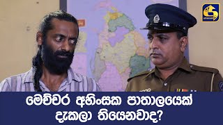 මෙච්චර අහිංසක පාතාලයෙක් දැකලා තියෙනවාද?