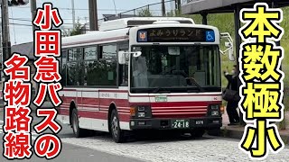 【本数極小】1年間に1ヶ月間しか運転しない！！　小田急バスの名物路線、新宿駅西口発よみうりランド行きに乗ってきた！！