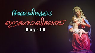 അമ്മയിലൂടെ ഈശോയിലേക്ക്... | Day 14 | Moncy Varghese