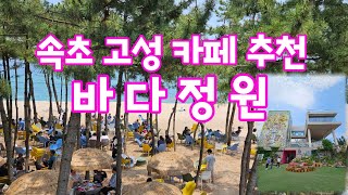 속초 여행 추천 I 속초 카페 추천 I 바다정원 I 속초여행 마지막날 가면 좋은 곳