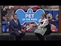 pet of the week peets jan. 13 2025