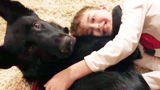 Stranger Drives Puppy 2,300 Miles to Cheer Up Boy With Cancer