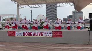 第10回KOBE ALIVE(2017/9/24)「チーム満天星」