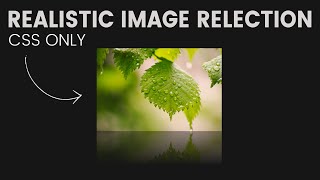 How to Make Image Reflection Effect in HTML CSS | CSS Image Reflection