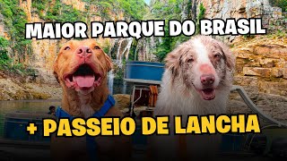 Pauá Parque: Aventura, Beleza e Um Passeio de Lancha Inesquecível!